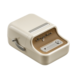 Niimbot B21 PRO 