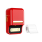 Niimbot B21S