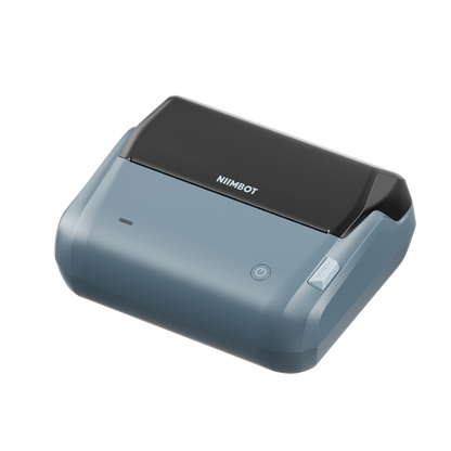 Niimbot B31 