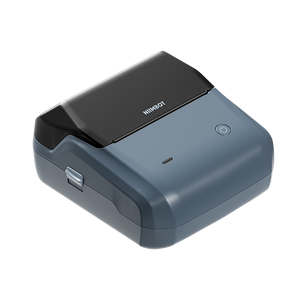 Niimbot B31 
