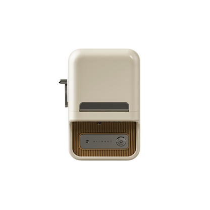 Niimbot B21S