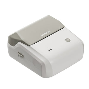 Niimbot B31 